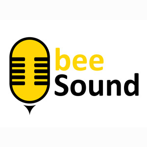 bee Sound - Logo Design: Entwicklung eines Firmenlogos für beeSound, Hargesheim [Konzept, Entwurf, Reinzeichnung, CI]