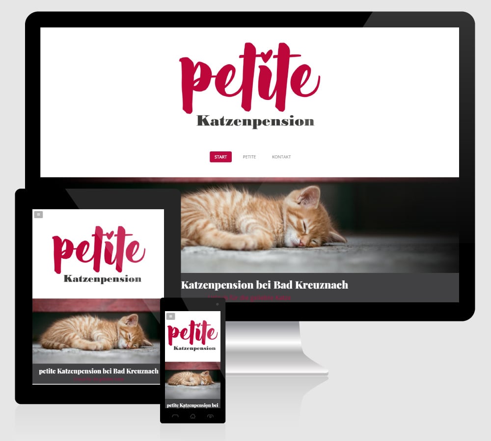 Webdesign für petite Katzenpension